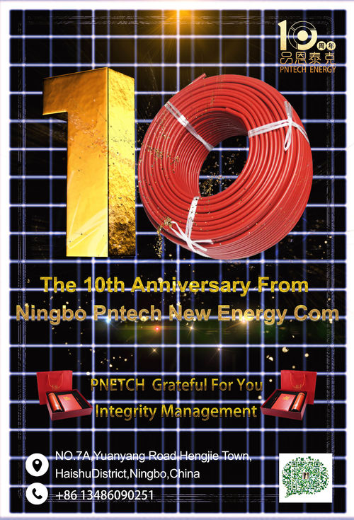 Latest company news about Il decimo anniversario di NIingbo PNtech